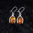Amber and Silver 2011: Horseshoe - www.avalonstreasury.com [112 x 112 px]