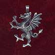 Celtic Jewelry: Welsh Dragon - www.avalonstreasury.com [112 x 112 px]